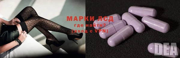 мяу мяу мука Дмитриев