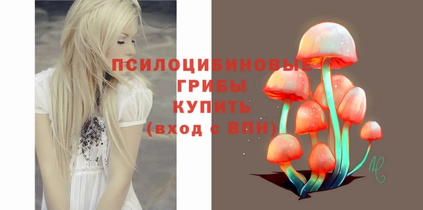 мяу мяу мука Дмитриев