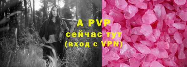 мяу мяу мука Дмитриев
