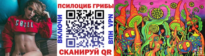 Псилоцибиновые грибы Psilocybe Комсомольск